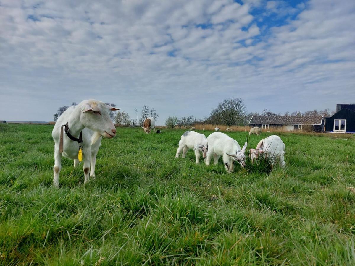 Den IlpAmsterdam Countryside Met Airco ,Geweldig Uitzicht, Luxe Keuken,Wasmachine,Droger,Gratis Fietsen公寓 外观 照片